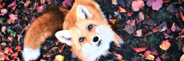 EvaLiveNow's profile banner image