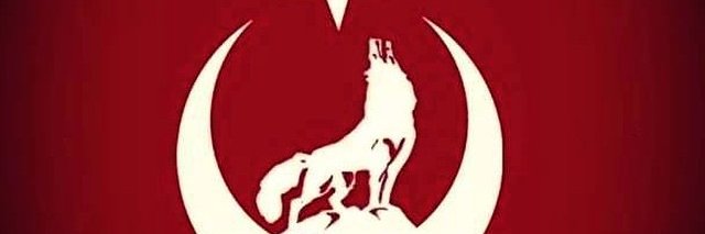 AvlamazAli's profile banner image