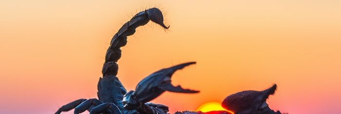 therealdflo007's profile banner image