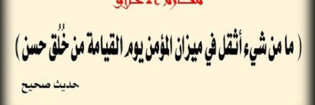 LoulaEssam's profile banner image