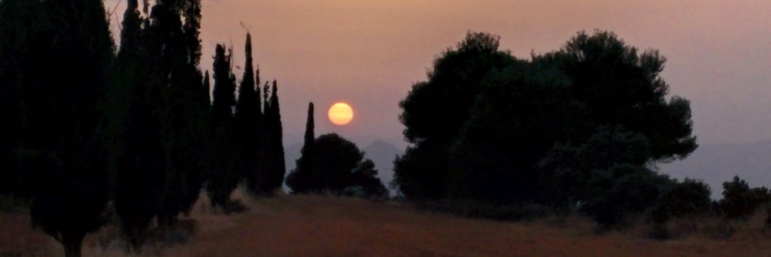 syegler's profile banner image