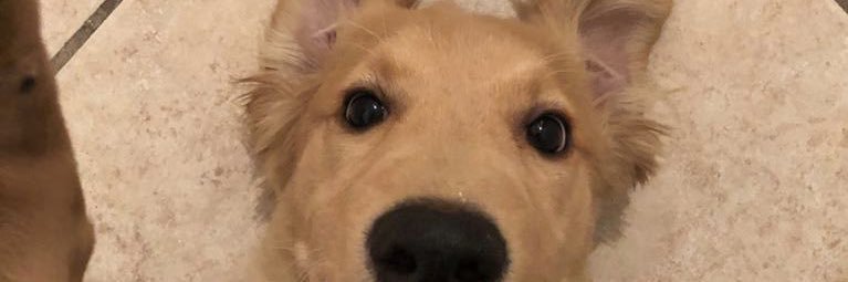 aulanu's profile banner image