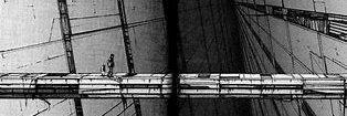 Jacob Wilson banner