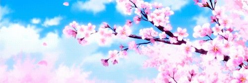 AgatheG_'s profile banner image