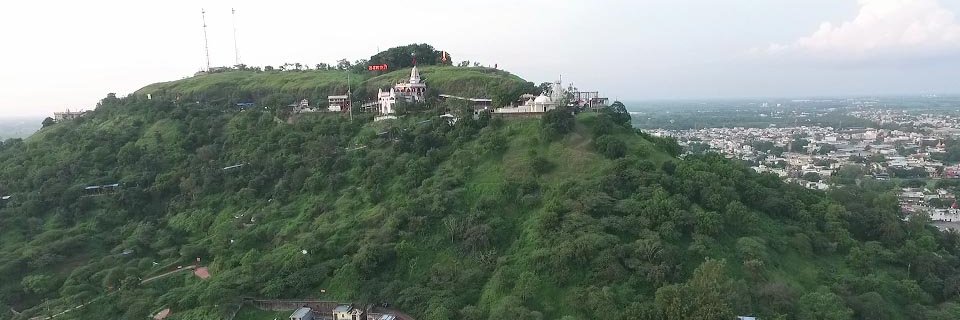 Collector Dewas banner