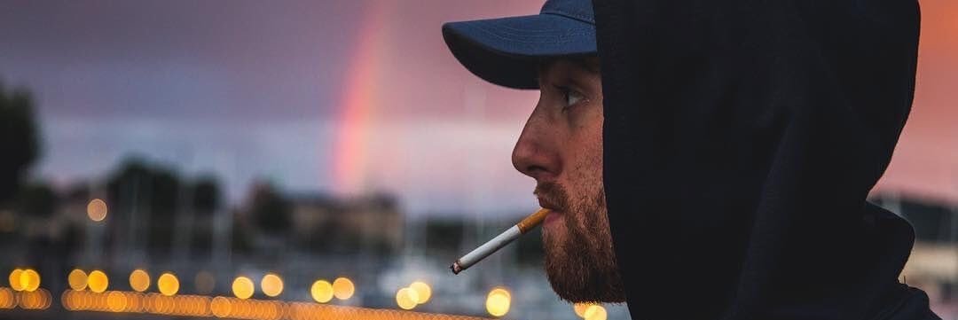 ♡ 🐲 SheepStealer 🐑 ™ ♡ banner