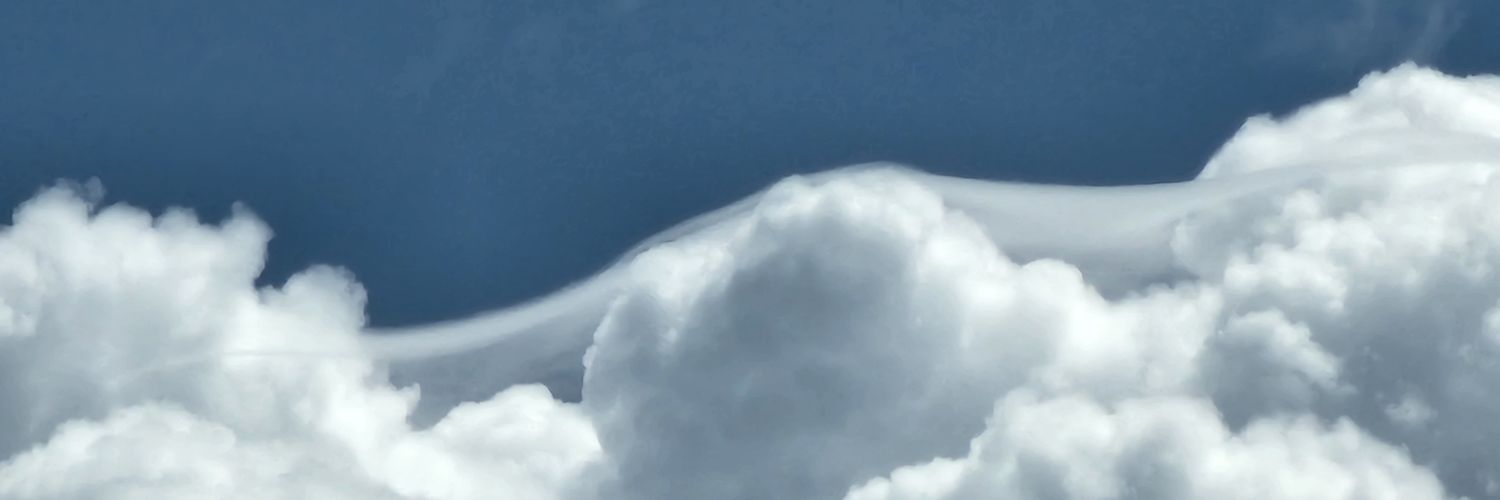 Mark G. Spychala banner