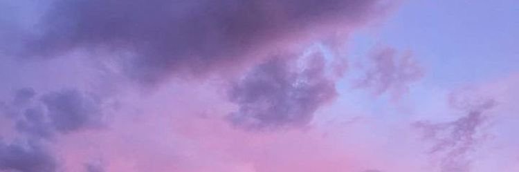 ari_longleggs's profile banner image