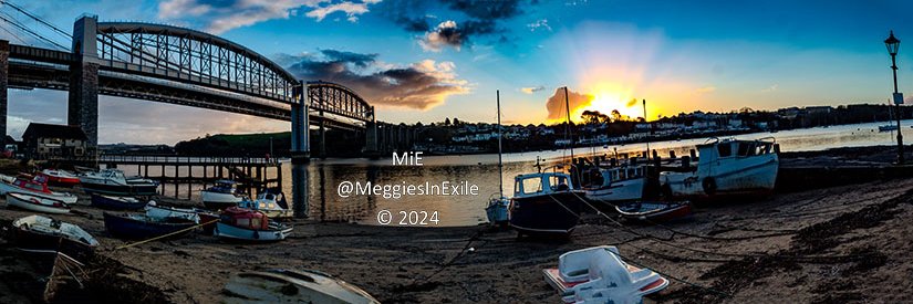 Meggies in Exile banner