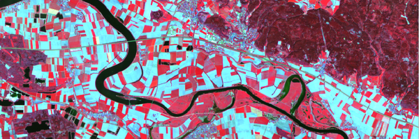 ECoLaSS2020 Profile Banner