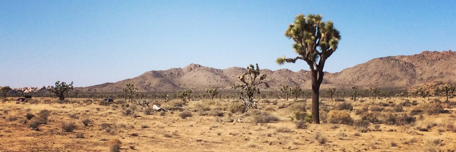 jacobkoetsier's profile banner image