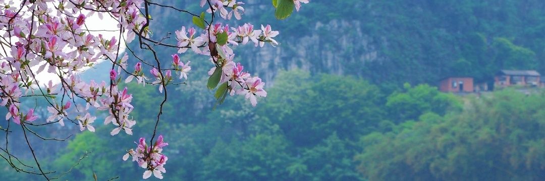 yyxiaomayi's profile banner image