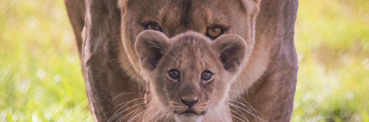 Hardkings's profile banner image