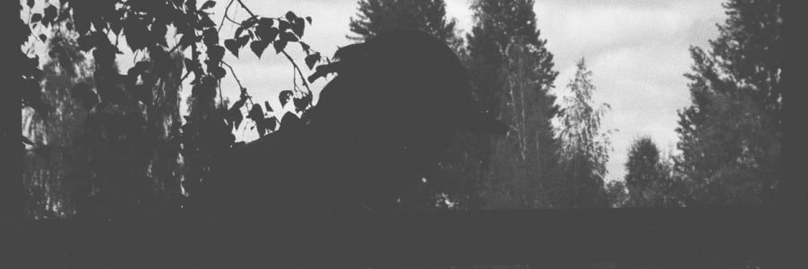 abezborody's profile banner image