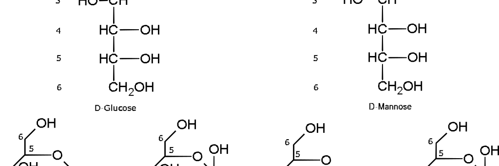 Nikolai1894's profile banner image