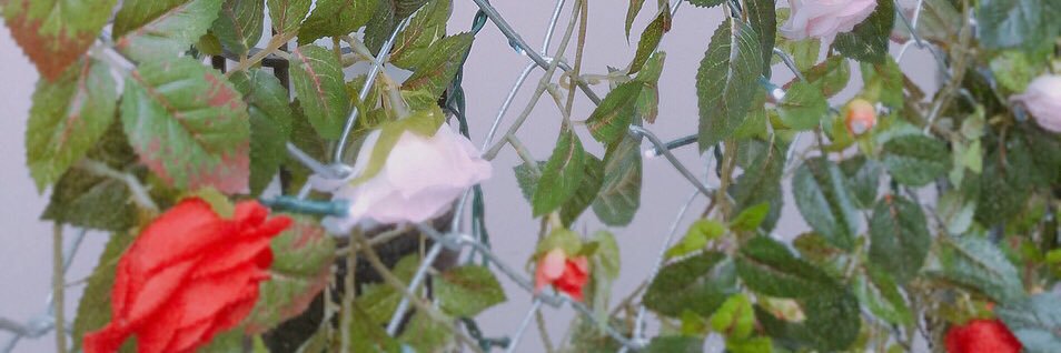ﾘ ﾝ  🌷 banner