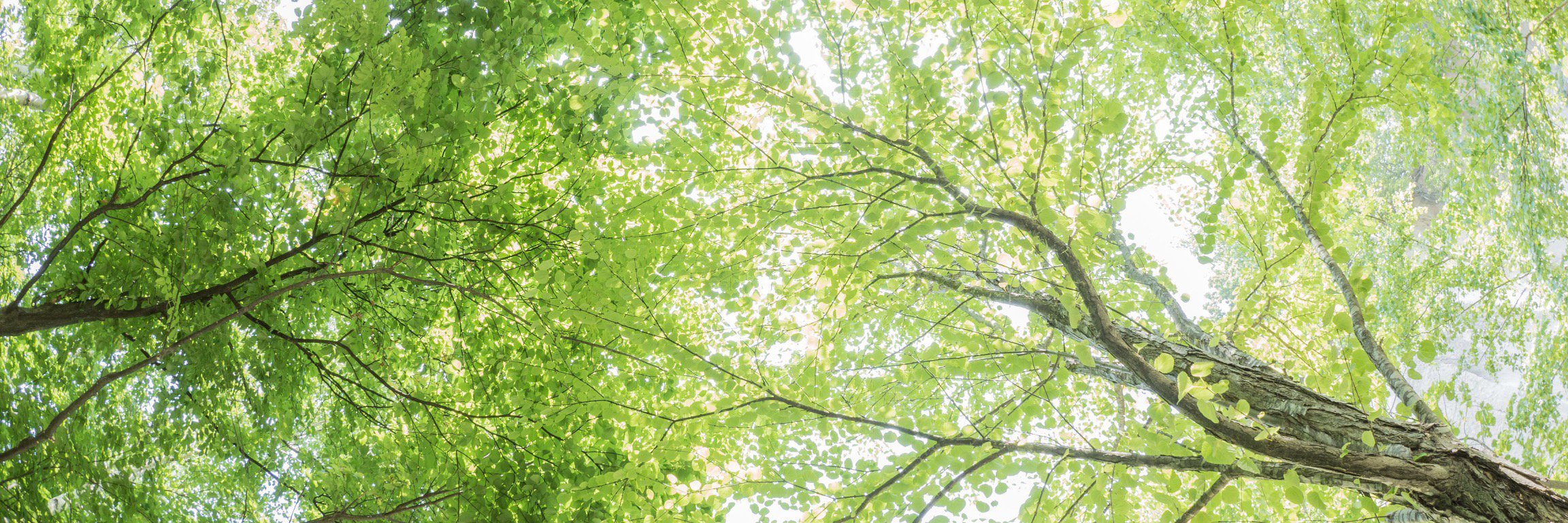 kitamura_sa's profile banner image