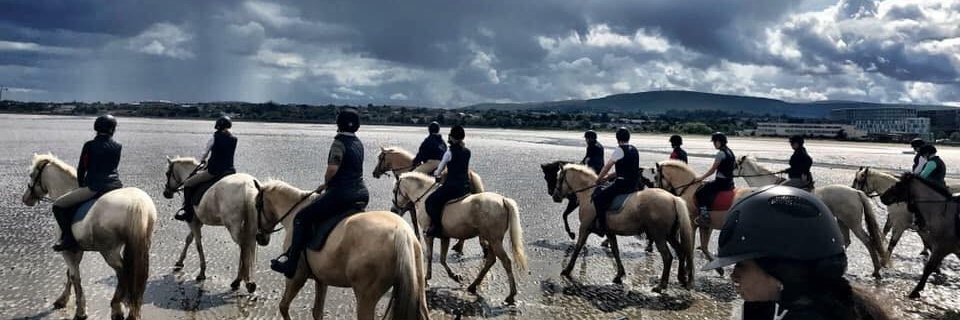 Juliet Taylor banner