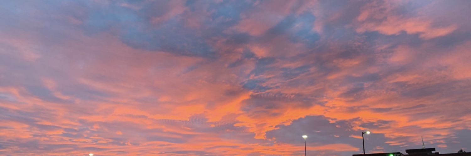 madisonts19's profile banner image