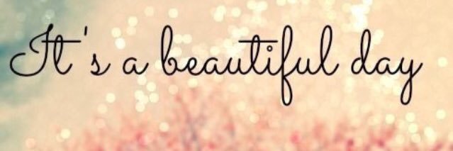 MindyWeed's profile banner image