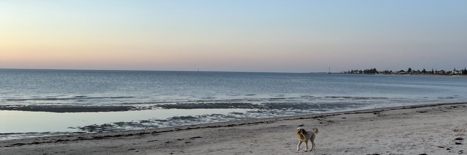 Jaimee Setchell banner