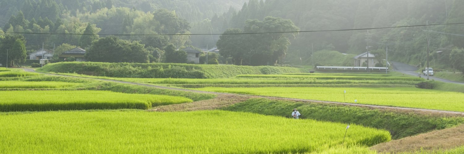 omusubi_design's profile banner image