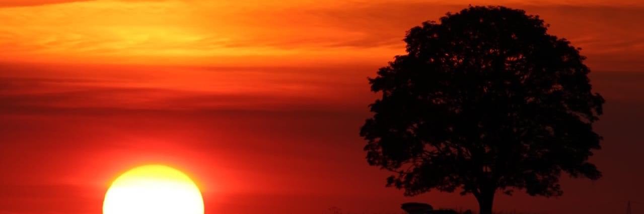 Emu101's profile banner image