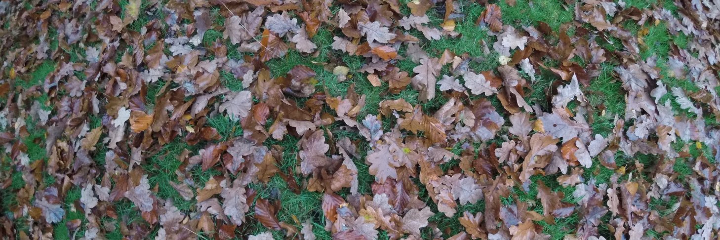 Nick Atkinson 🇬🇧 ❤️ 🇺🇦 banner