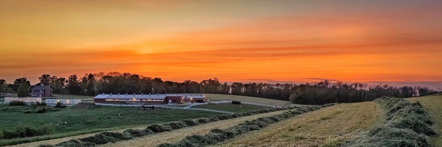 UConn Animal Science banner