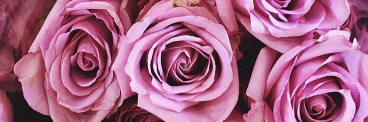 PrettyJaySmith's profile banner image