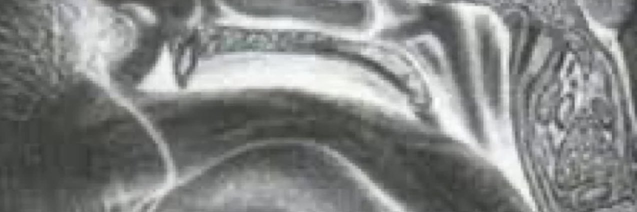 Gay_Average_Joe's profile banner image