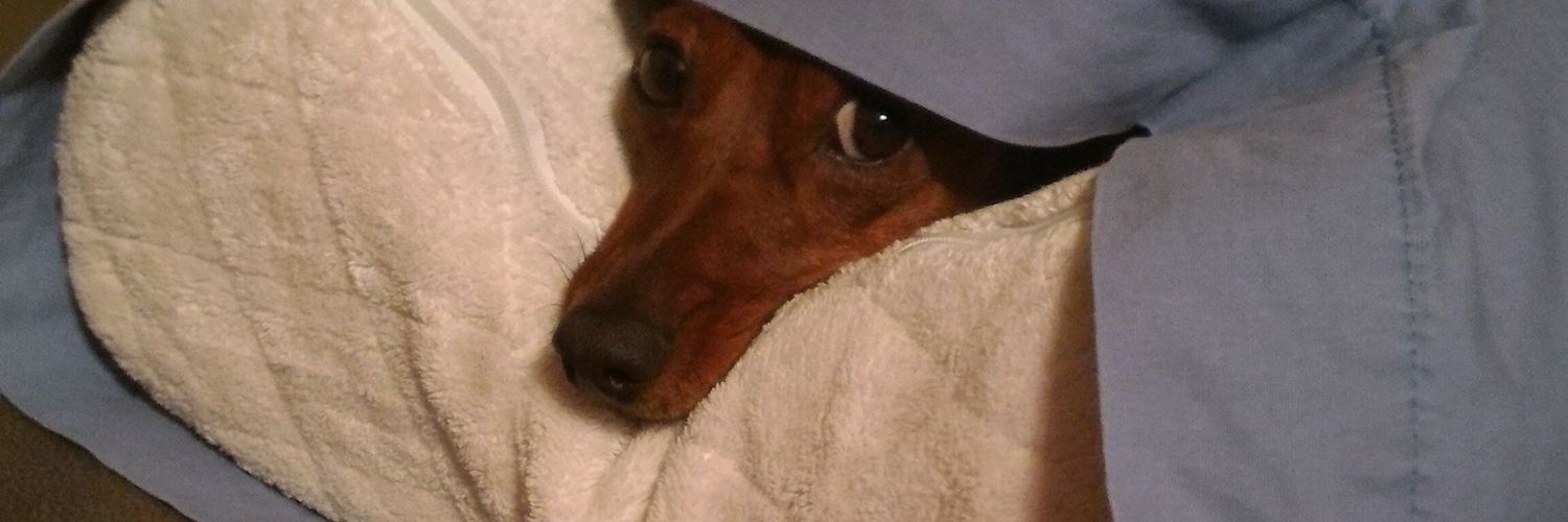 Disabled Trash Witch♿'s banner