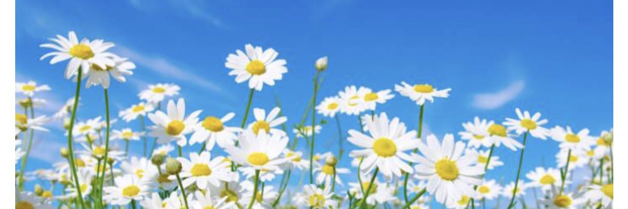 margiegoycep's profile banner image