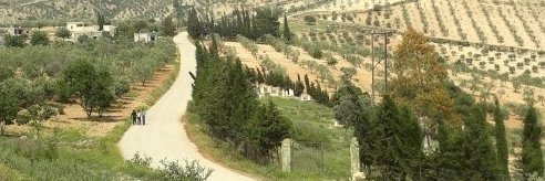 Xelil Xemgin banner