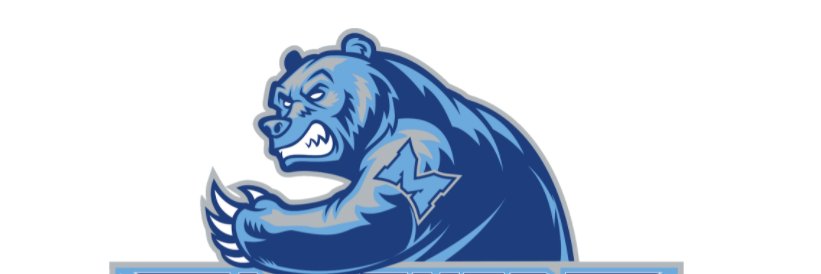 Mather Athletics banner