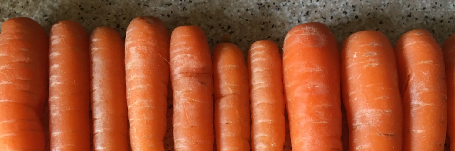 Informed Comment banner