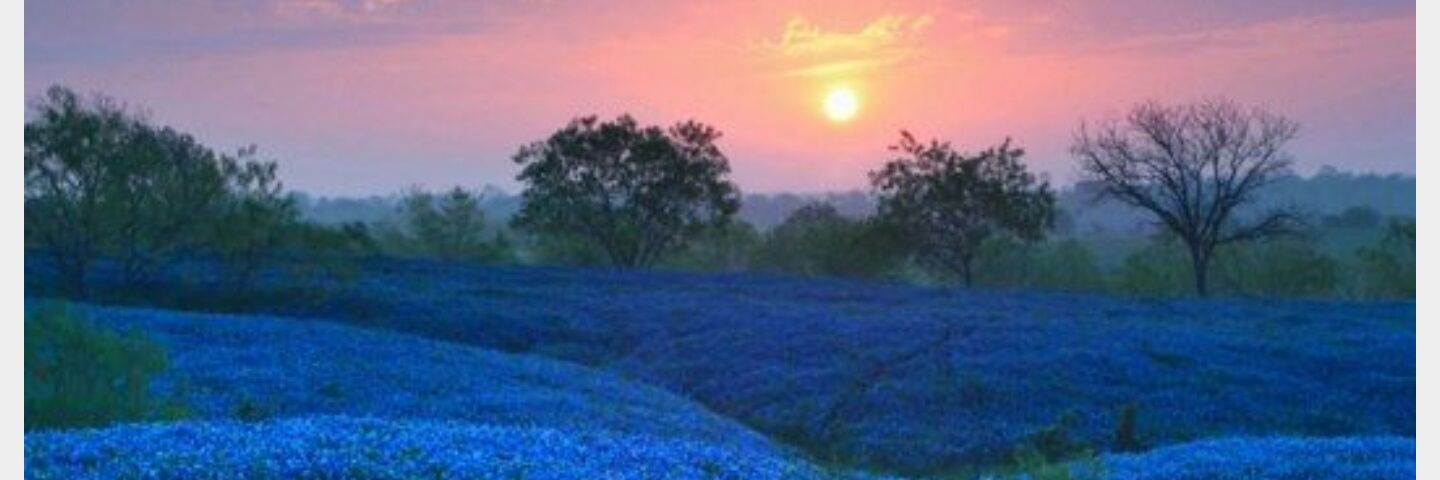 CallahanCoDems's profile banner image