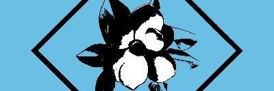 SupremeStreet's profile banner image