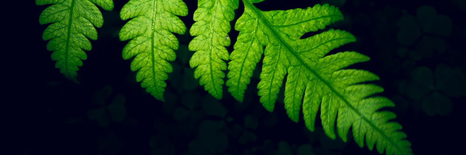 Atiirmak58's profile banner image