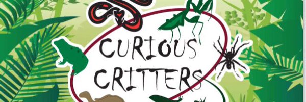 dannycritters Profile Banner