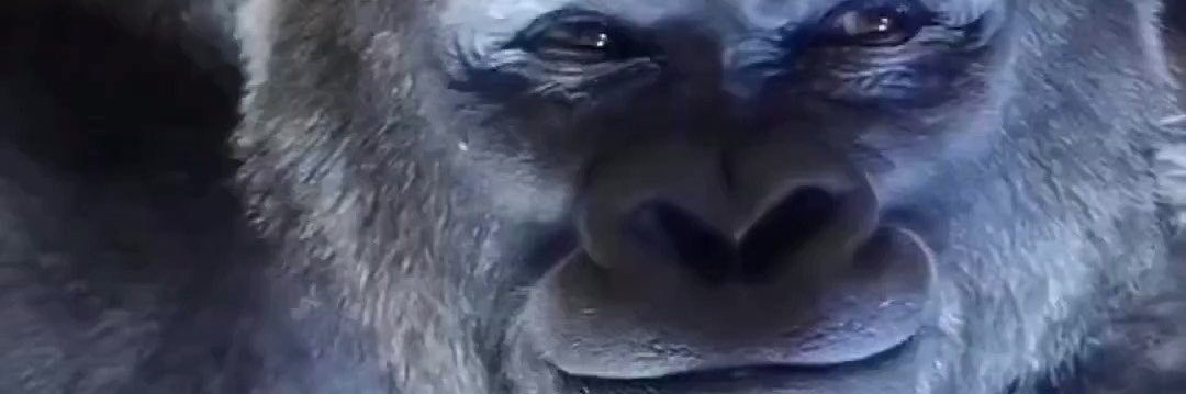 glorpsponge ✪ banner