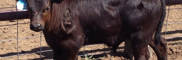 JW_Rankin Profile Banner