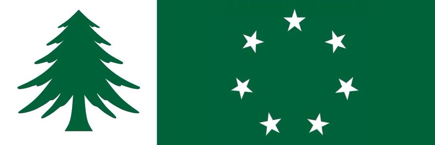 arthur morgan 🌲🏒🇺🇦 banner