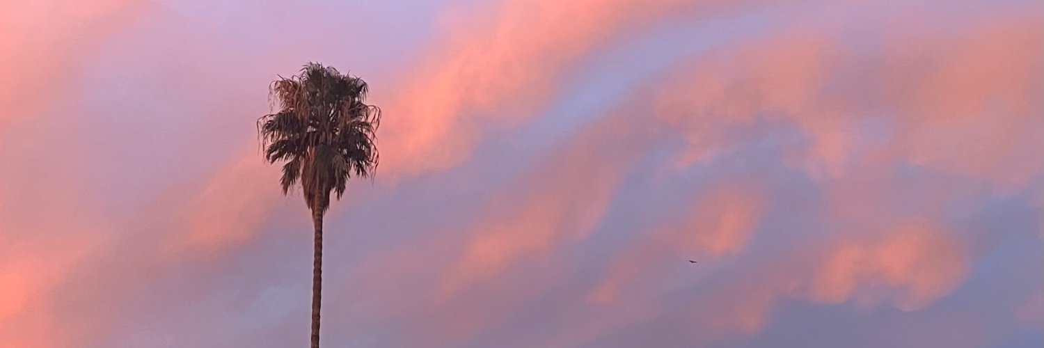 ZacInTheBox's profile banner image