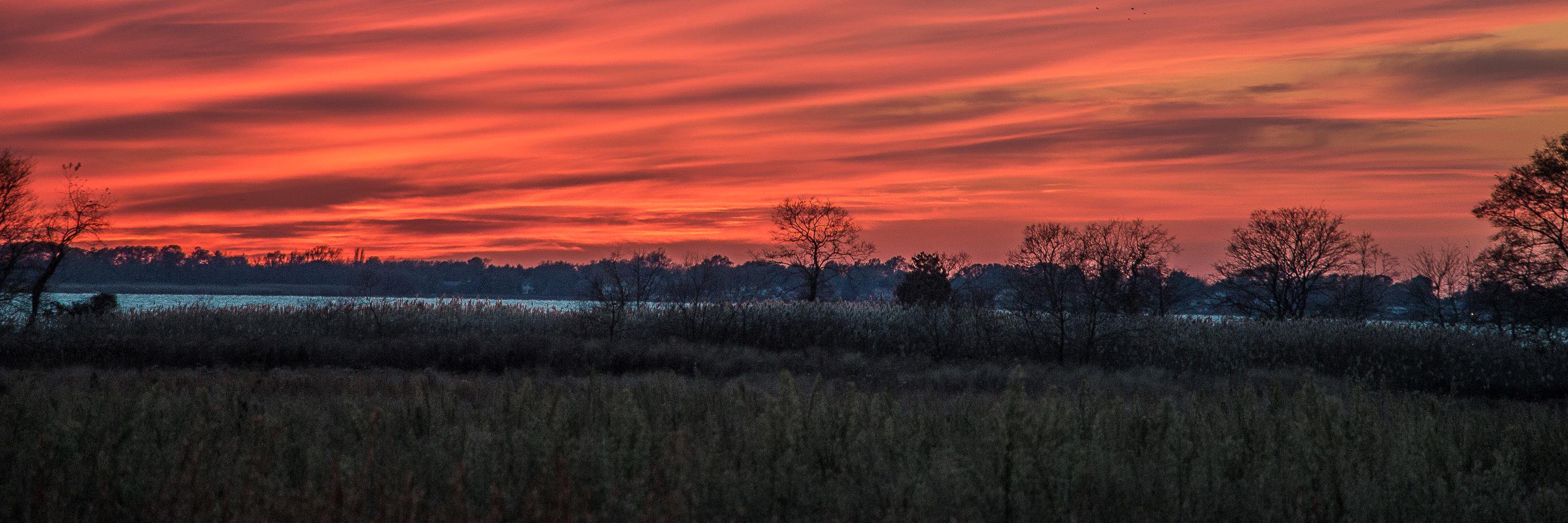 Zachary Aaron Photo banner