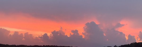 KayleeHopp Profile Banner