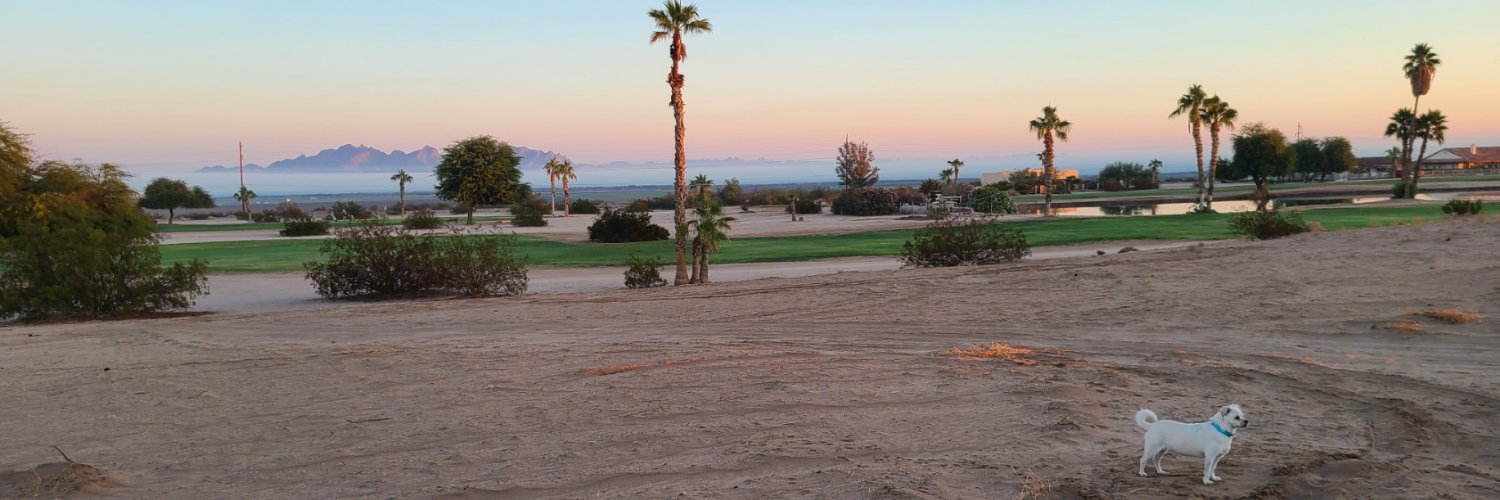 Laura Townsend banner