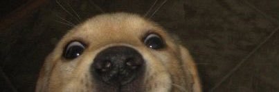 lluismqs's profile banner image