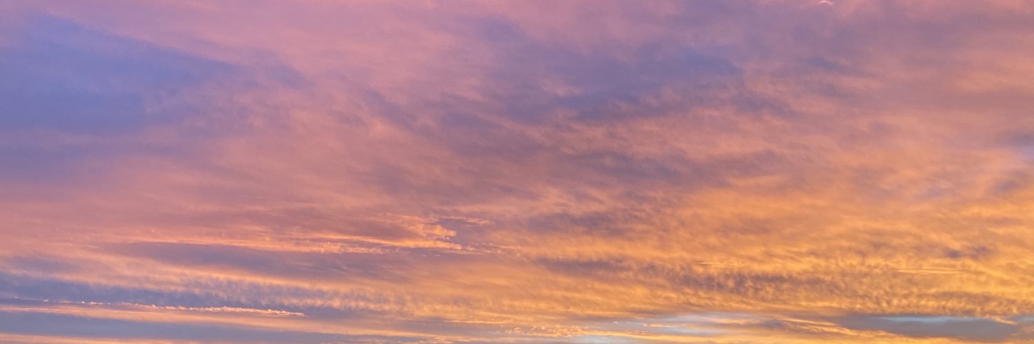 Ms_Alejandra19's profile banner image