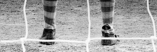 Crisneive Silveira banner